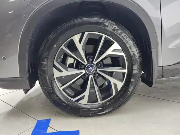 BYD Song Pro New Energy 2025