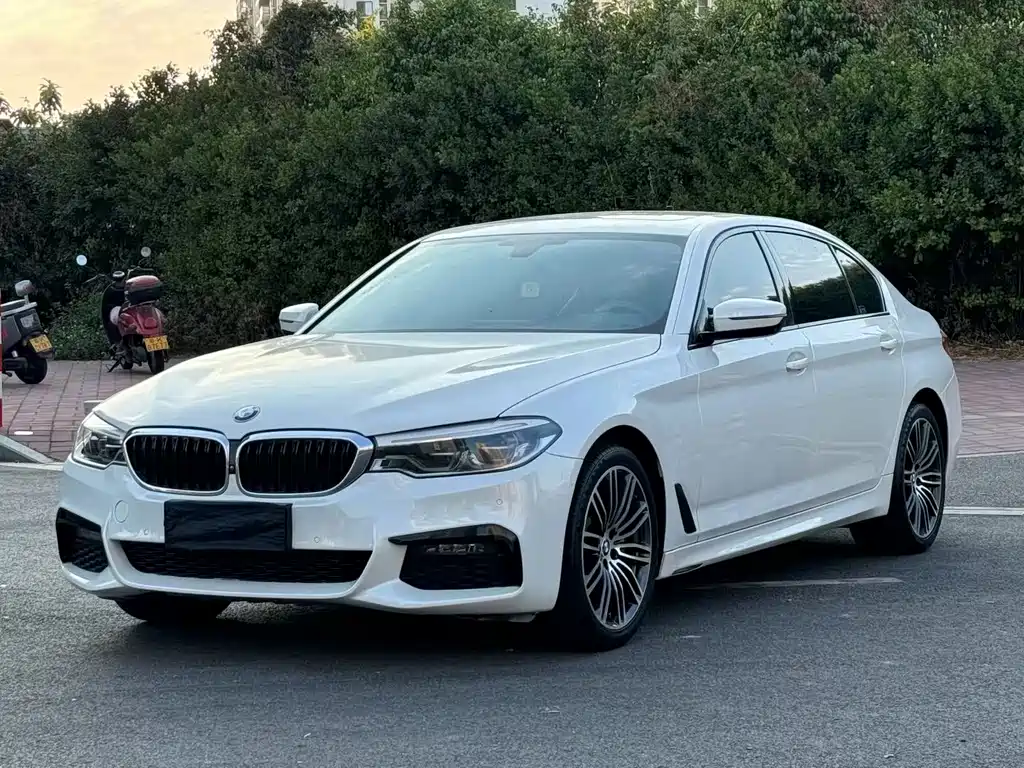 BMW 5 Series 2019 — фото 1