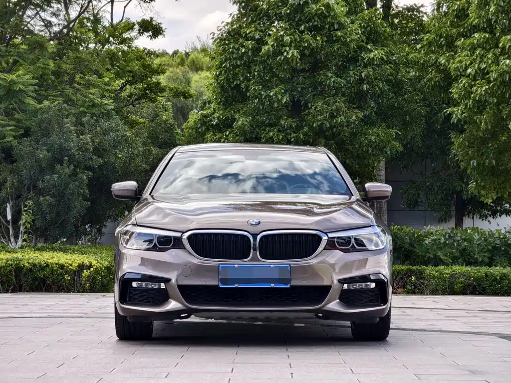 BMW 5 Series 2018