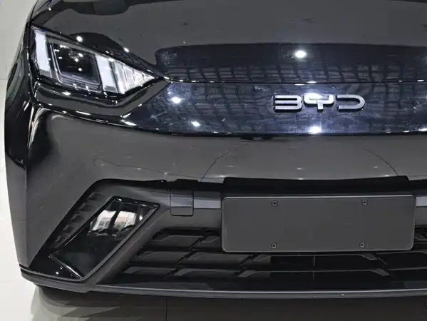 BYD Seagull 2024
