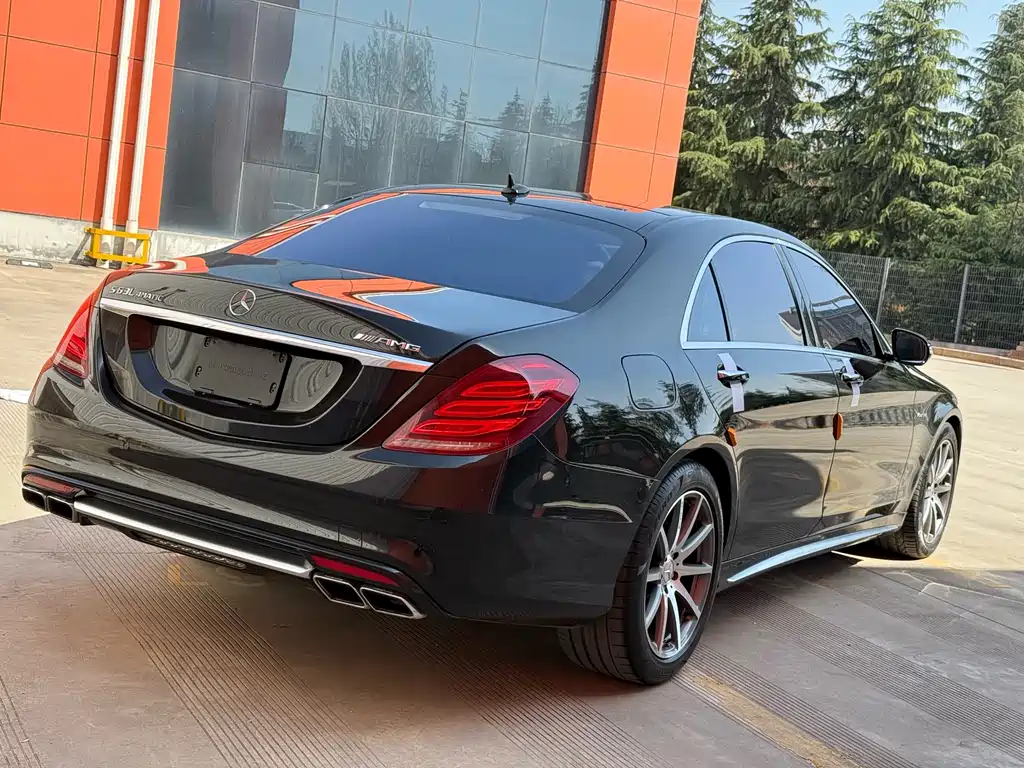 Mercedes-Benz S-Class AMG 2014 — фото 20