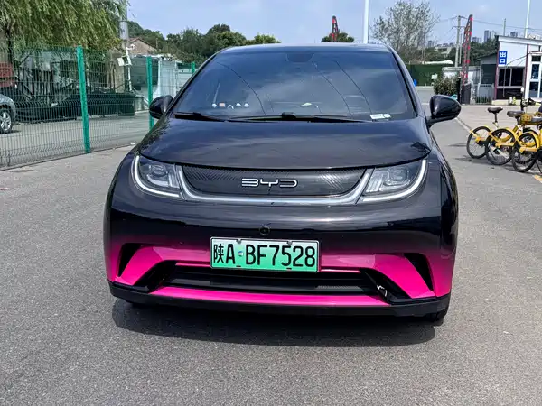BYD Dolphin 2023