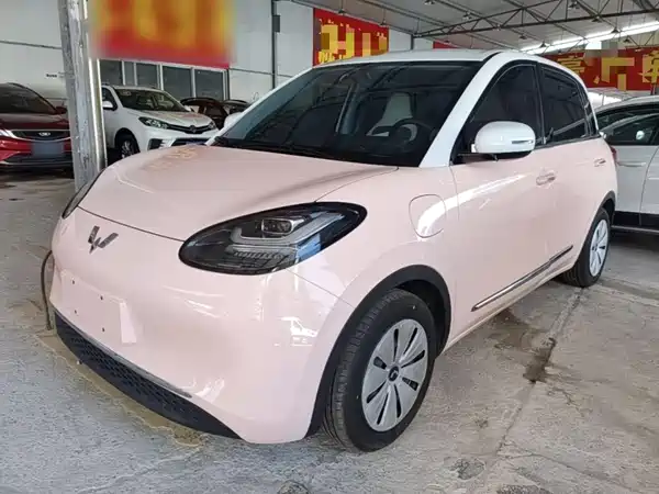 Wuling Bingo 2024