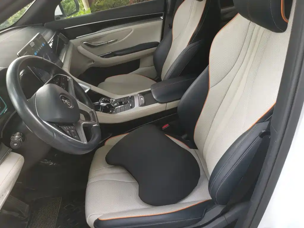 BYD Song PLUS New Energy 2023 — фото 16