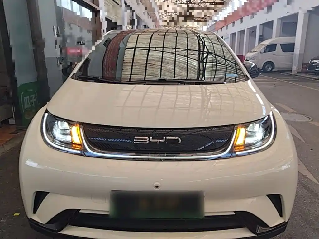BYD Dolphin 2022