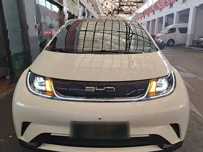 BYD Dolphin 2022