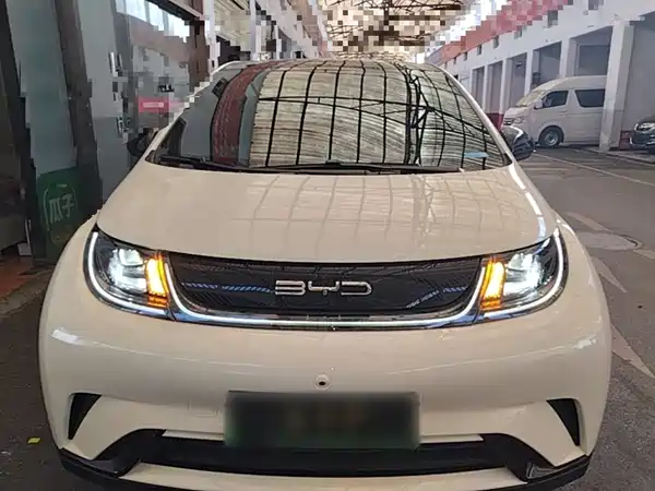 BYD Dolphin 2022