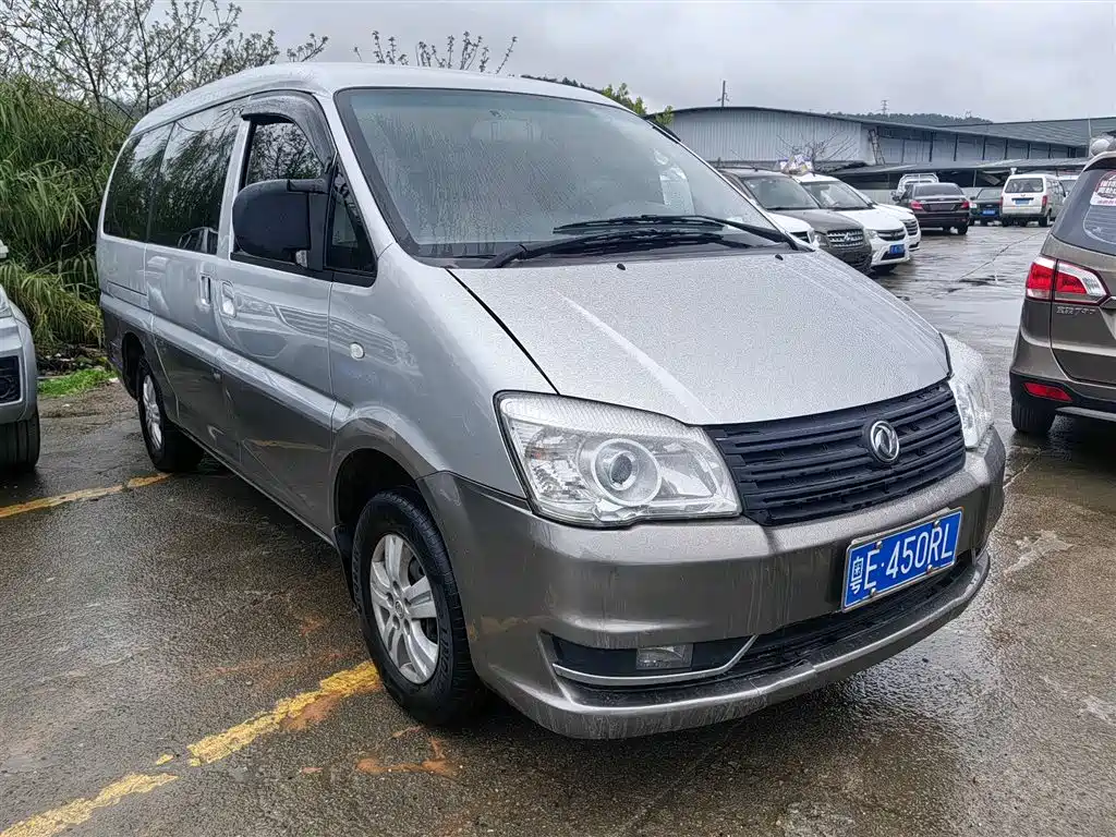 Fengxing Lingzhi 2017