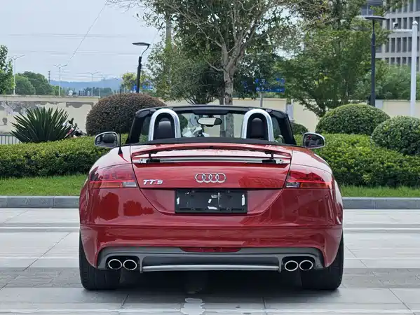 Audi TTS 2013