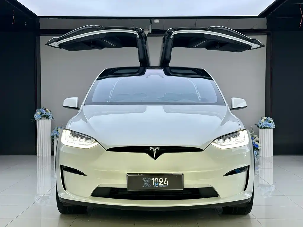 Tesla Model X 2023 — фото 2