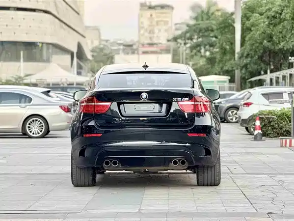 BMW X6 M 2010