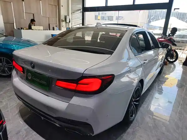 BMW 5 Series New Energy 2021