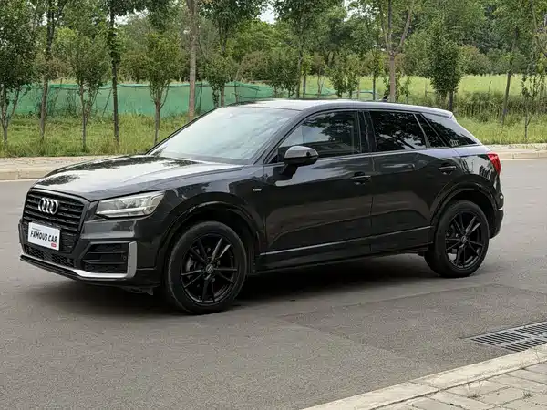 Audi Q2L 2019