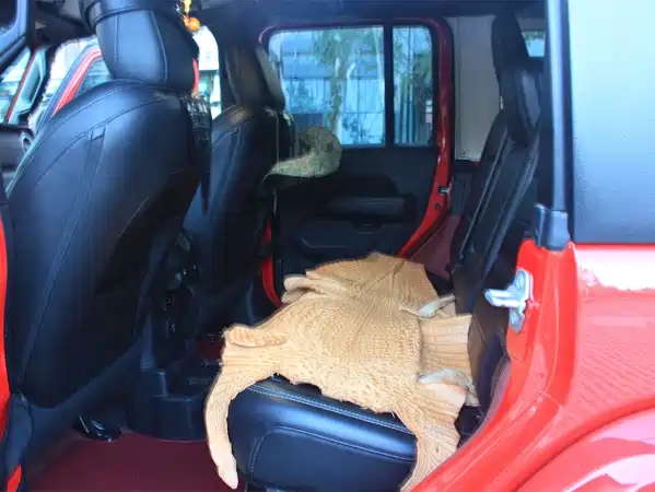 Jeep Wrangler 2019