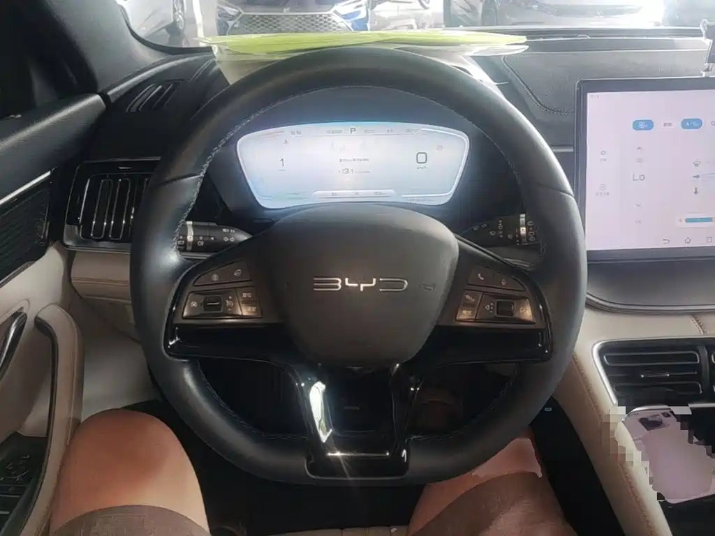 BYD Song PLUS New Energy 2024 — фото 11