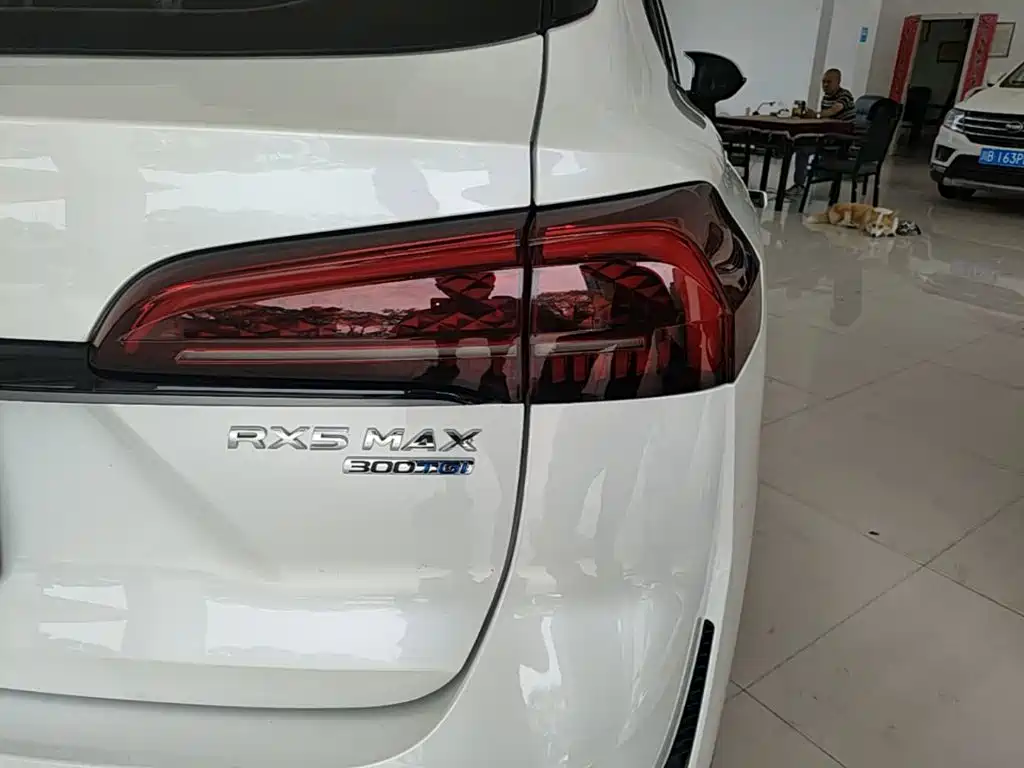 Roewe RX5 MAX 2023 — фото 8