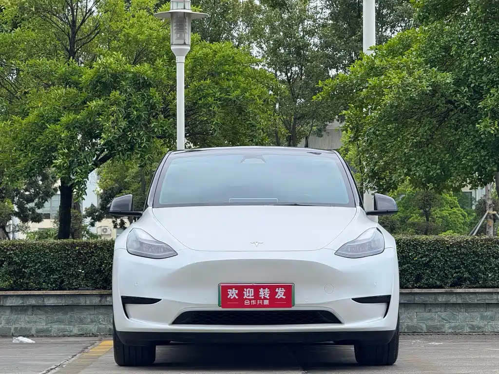 Tesla Model Y 2023 — фото 2