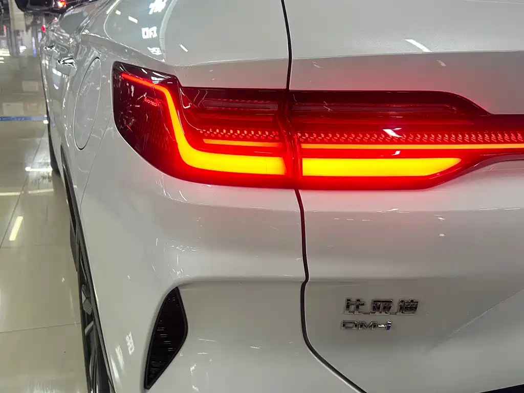 BYD Song PLUS New Energy 2024 — фото 18
