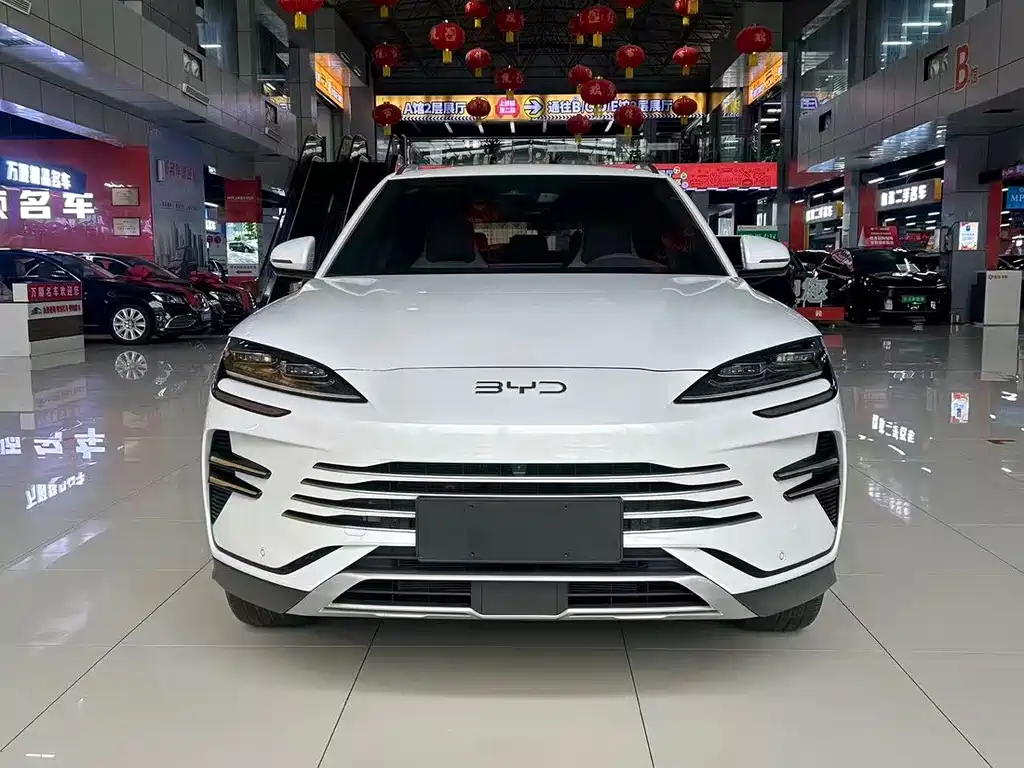 BYD Song PLUS New Energy 2024 — фото 2