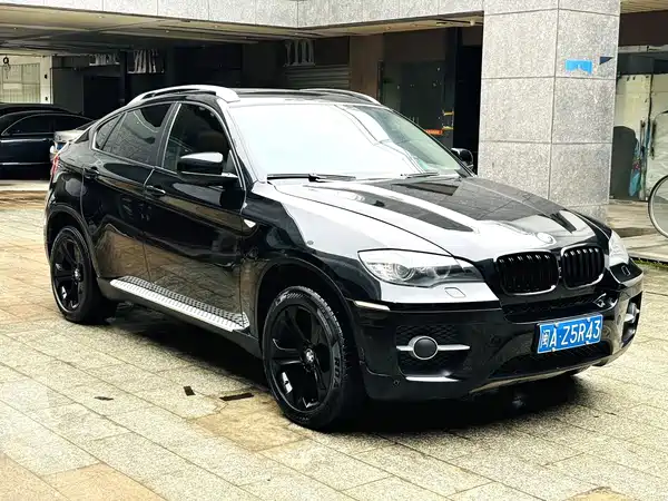 BMW X6 2010