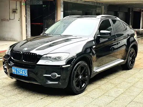 BMW X6 2010