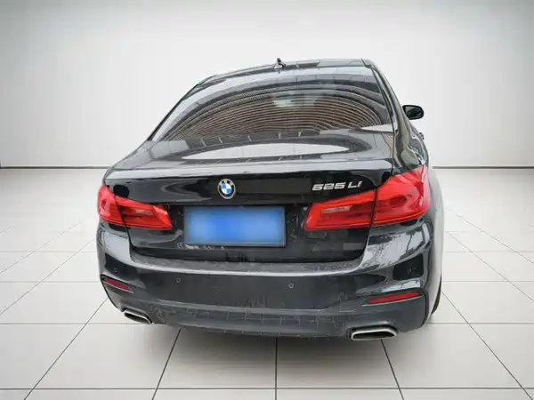 BMW 5 Series 2019
