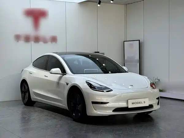 Tesla Model 3 2019
