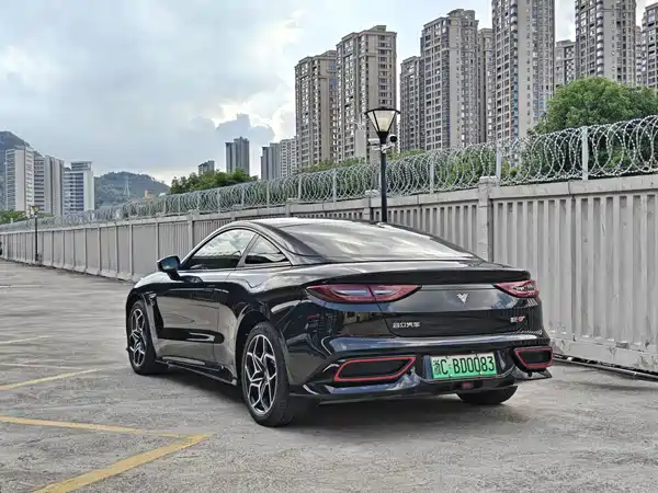 Neta GT 2025