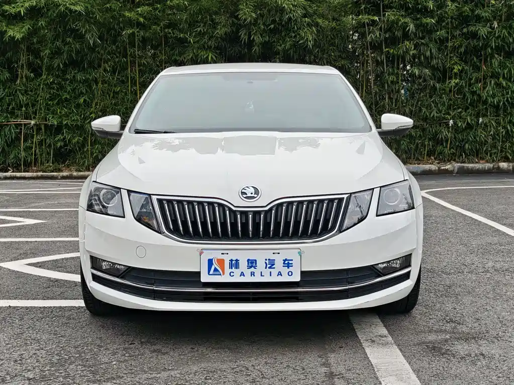 Skoda Octavia 2018 — фото 2