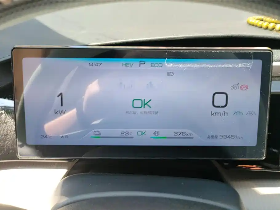 BYD Pro New Energy 2024 — фото 14