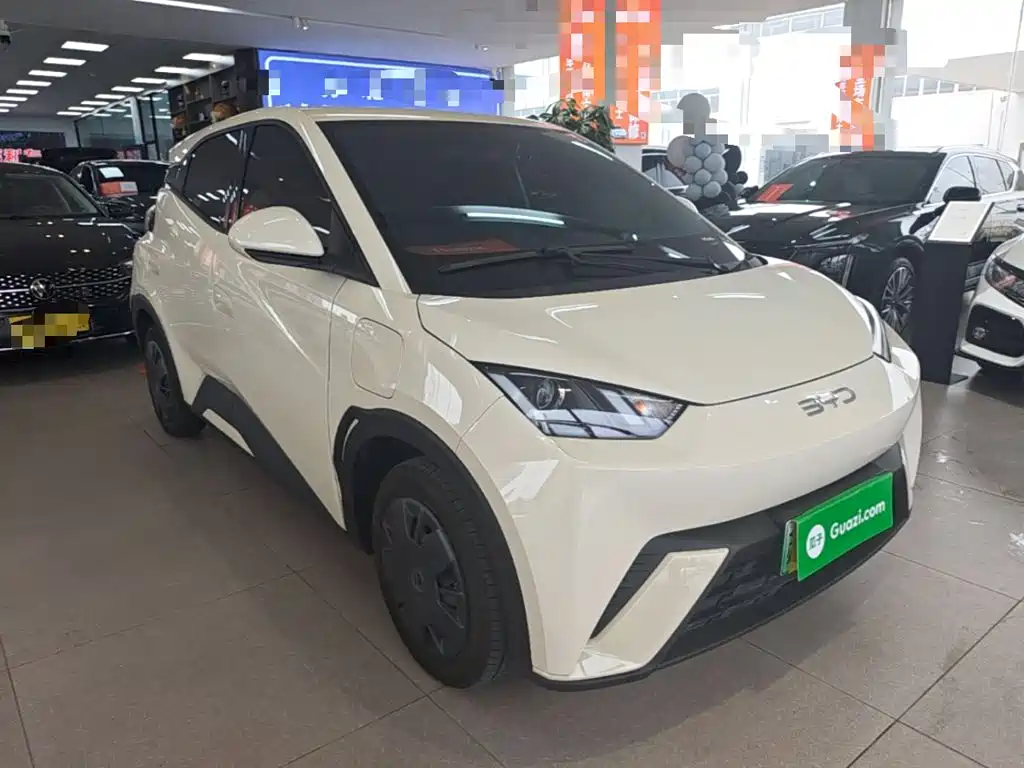 BYD Seagull 2024