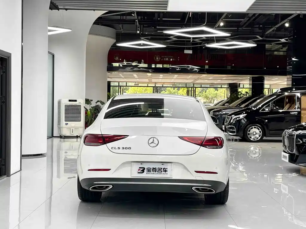 Mercedes-Benz CLS 2019 — фото 12