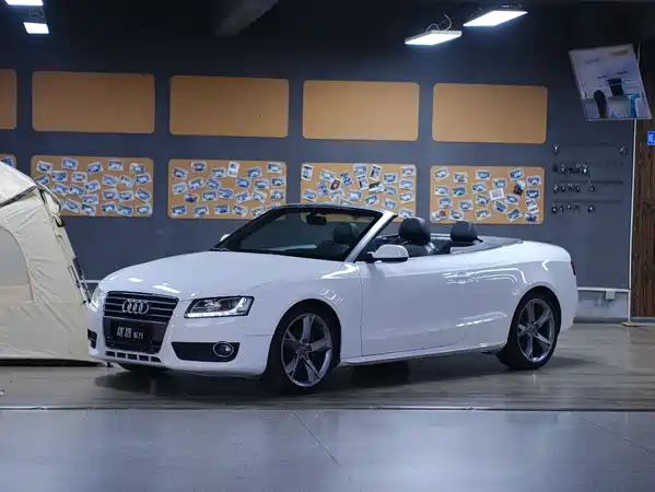 Audi A5 2010