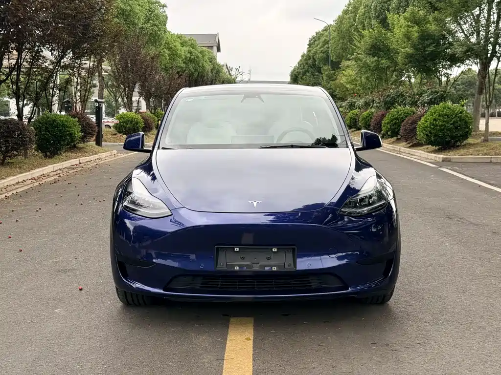 Tesla Model Y 2023 — фото 3