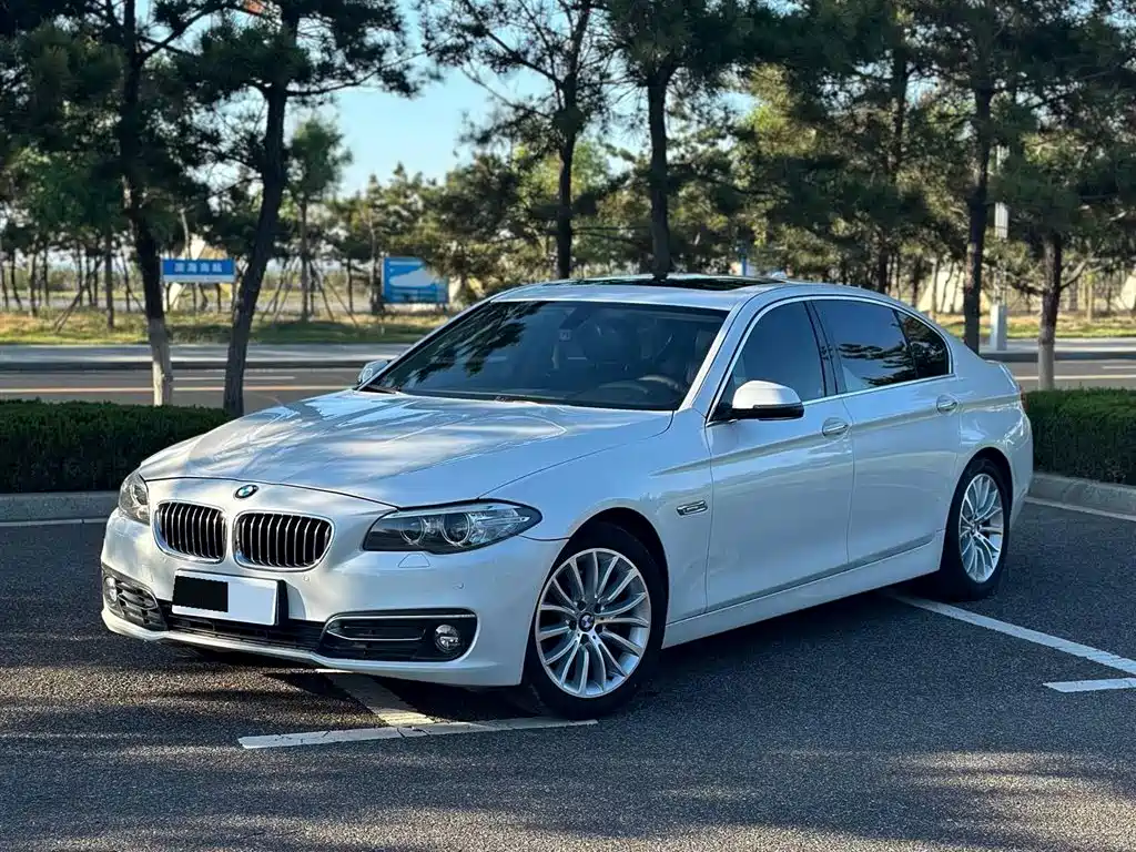 BMW 5 Series 2017 — фото 1