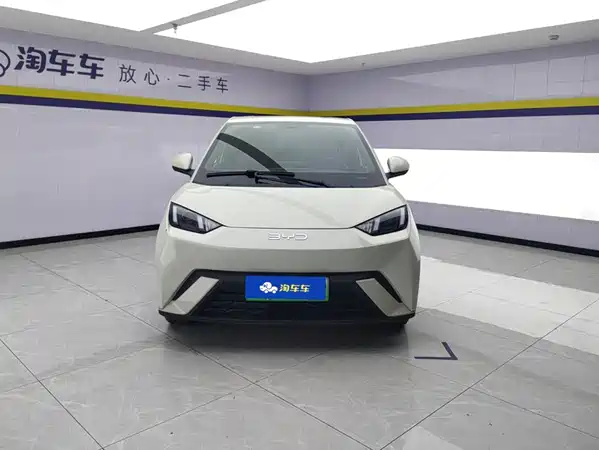 BYD Seagull 2024