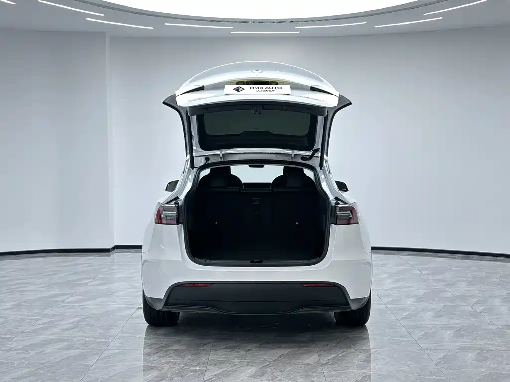 Tesla Model Y 2024 — фото 8