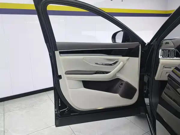 BYD Song PLUS New Energy 2024