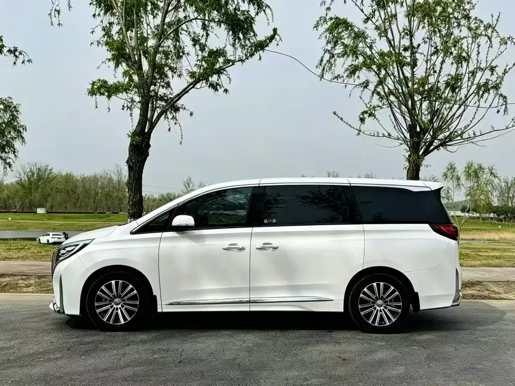 GAC Motor Trumpchi M8 2021 — фото 4
