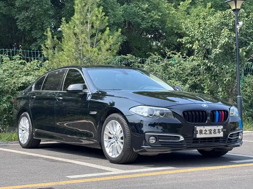 BMW 5 Series 2015