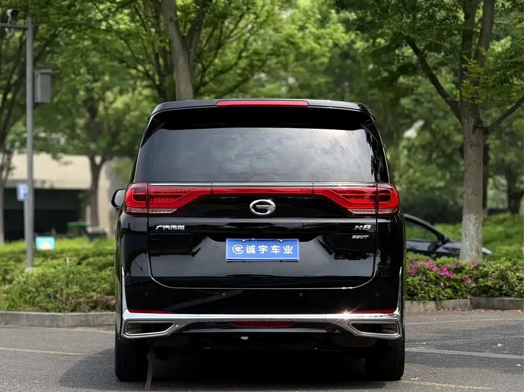 GAC Motor Trumpchi M8 2021 — фото 18