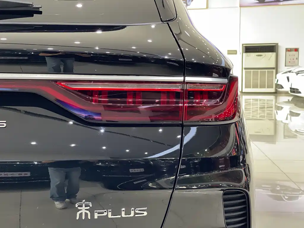 BYD PLUS New Energy 2023 — фото 18