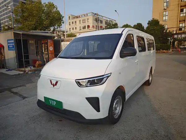 Wuling Yangguang 2024