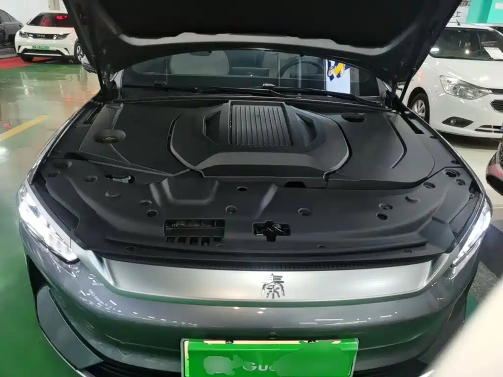 BYD Qin PLUS 2024 — фото 20