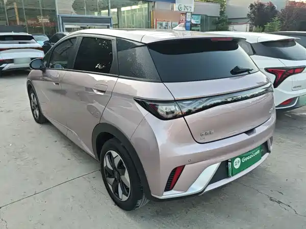 BYD Dolphin 2024