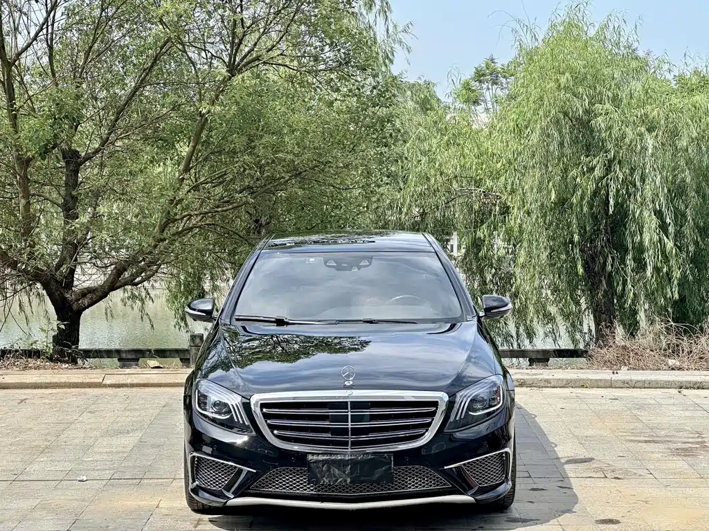 Mercedes-Benz S-Class 2014 — фото 2