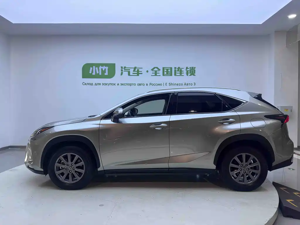 Lexus NX 2020 — фото 13