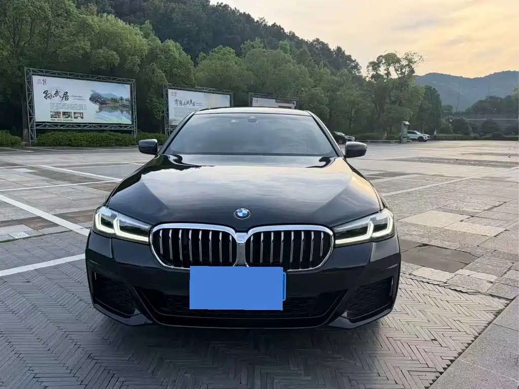 BMW 5 Series 2021