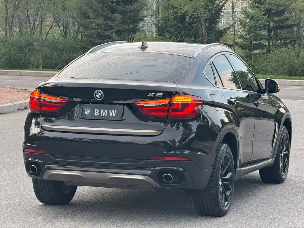 BMW X6 2017 — фото 5