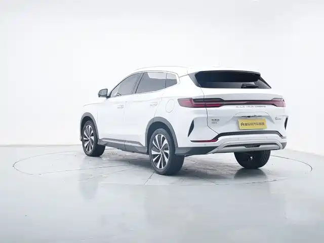 BYD PLUS New Energy 2023 — фото 8